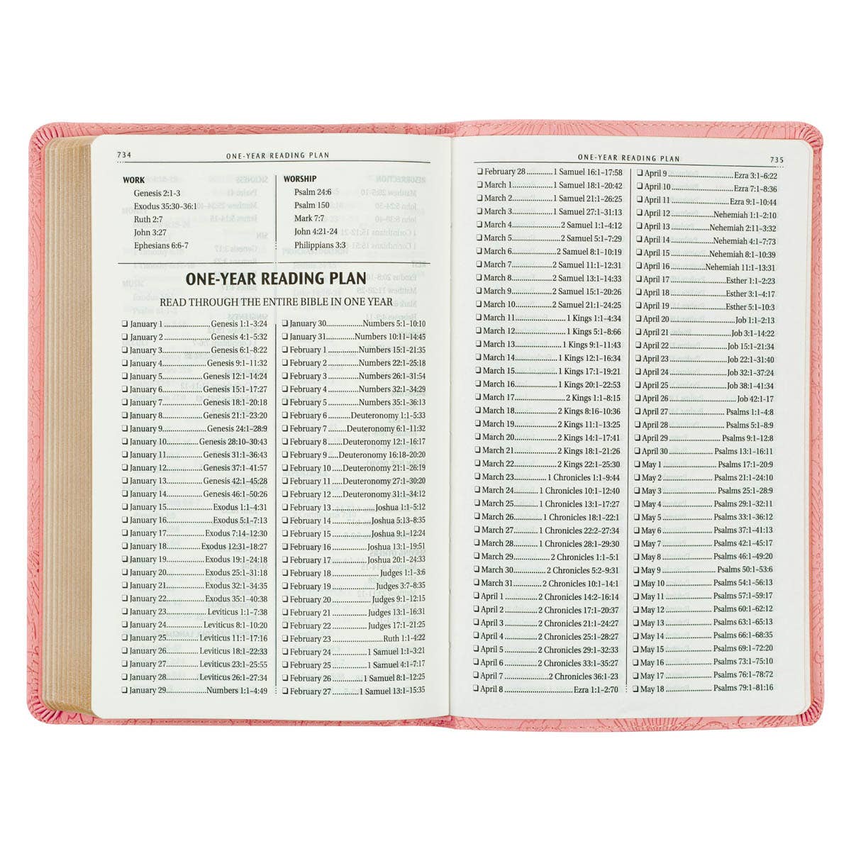 KJV Bible Gift Edition Faux Leather, Light Pink