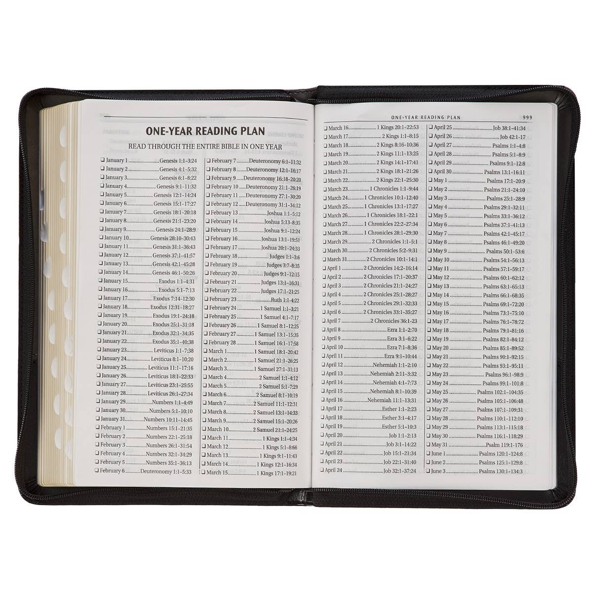 KJV Bible Deluxe Gift Faux Leather, Gray/Black w/zipper
