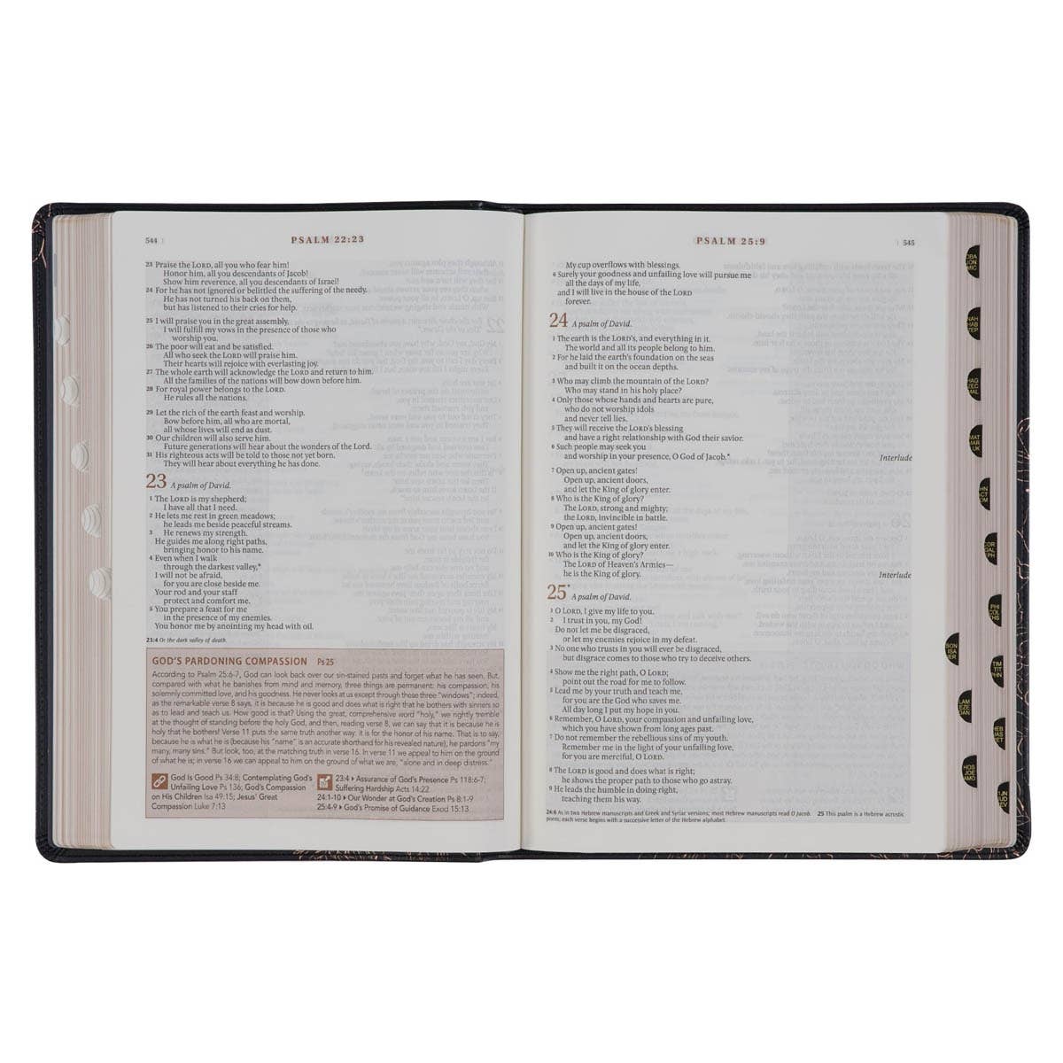 NLT, The Spiritual Growth Bible Faux Leather, Black Floral