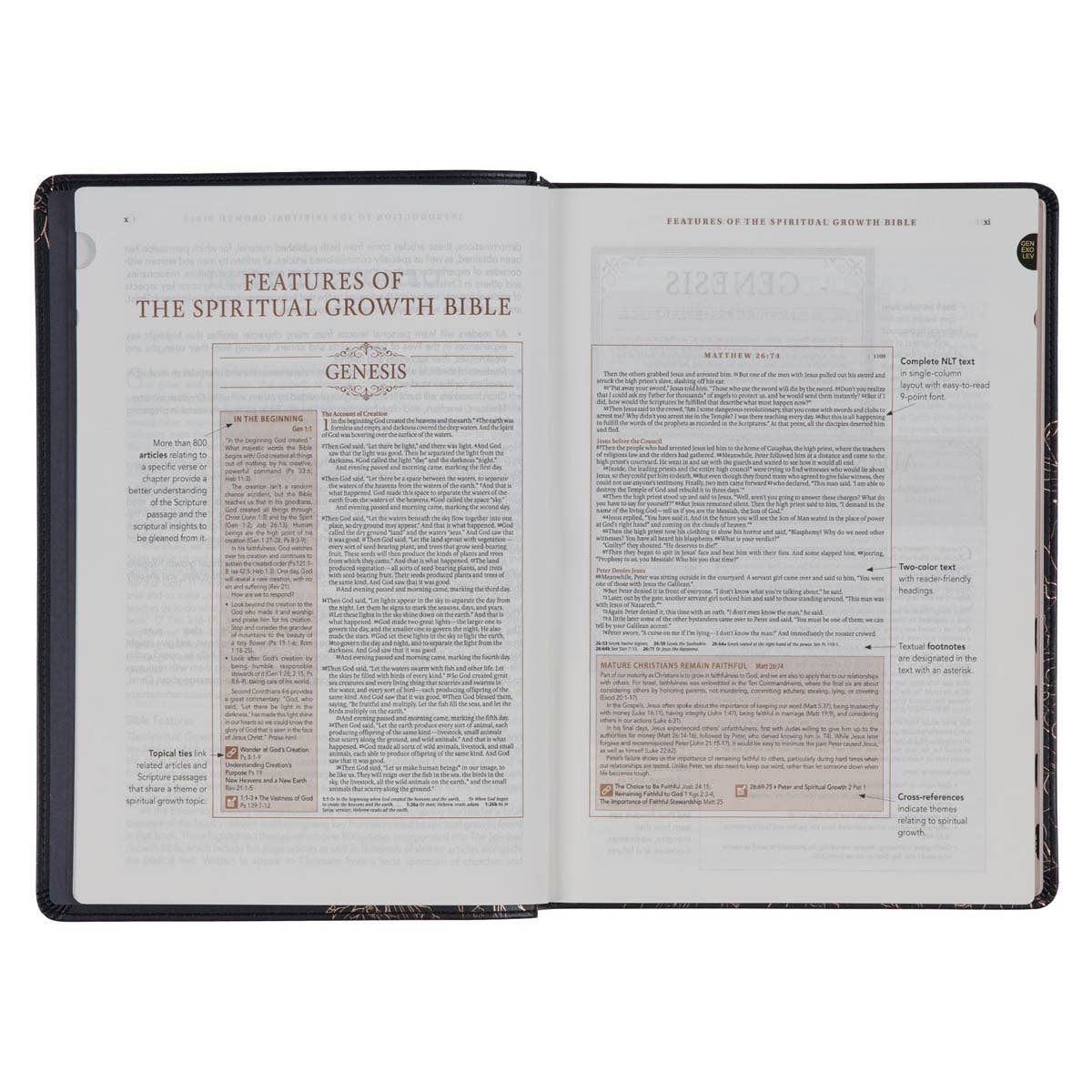 NLT, The Spiritual Growth Bible Faux Leather, Black Floral